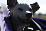 Cadbury 'dogs in cars' by Saatchi & Saatchi Sydney 