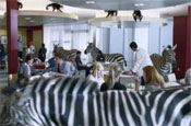 E.ON 'animals' by TBWA\London