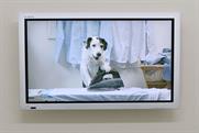 Thinkbox 'dogs home' by Red Brick Road