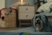 John Lewis Home "For the joy of home" by Adam & Eve/DDB