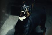 Lynx Black "bring the quiet" by Bartle Bogle Hegarty