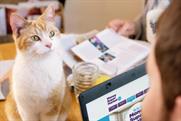Moneysupermarket.com "running with cats" by Mother