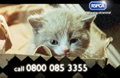 RSPCA 'I'm an animal help me' by Bright