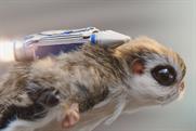McVitie's "flying squirrel" by Grey London
