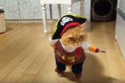 Truth calls on Grammy viewers to 'prevent #CATmegeddon'