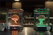 Voxi "The fun never ends" by Abbott Mead Vickers BBDO