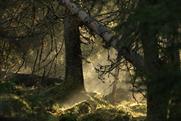 Visit Sweden "Sweden on Airbnb" by Forsman & Bodenfors