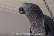 'Cursing Parrots' for UNICEF by Grey New York