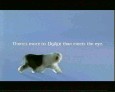 Dulux, AMV BBDO