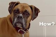 You can play fetch across the internet with BBDO New York's new Pedigree game