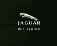 Jaguar\Y&R