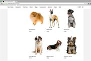 Lyst "canine collection"