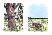 Who Gives A Crap "Winnie-the-Pooh: The Deforested Edition" (in-house)