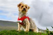 Yorkshire Tea "Yorkshire Tea to the rescue" by Lucky Generals
