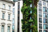 What the government’s new biodiversity metric means for applicants and authorities