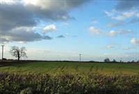 CPRE study finds just 15 per cent of greenfield homes in green belt affordable