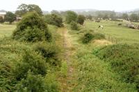Bristol to Portishead rail link development consent application submitted