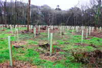 'Cheaper and simpler' to consider biodiversity net gain early, says Defra director