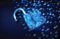 Downloadable policy: Data security policy template