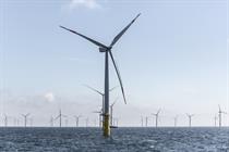 Commission to scrutinise Butendiek over bird protection claims