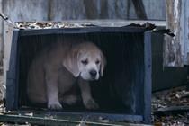 Budweiser: 'lost puppy' Super Bowl spot is a hit on Twitter