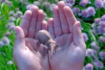 Magic Leap: plans to fuse reality with technology more effectively