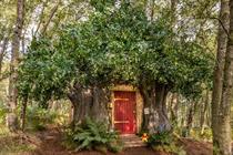 Bearbnb: the house is built with exposed tree branches