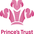 Prince's trust: DMS to handle data and DM