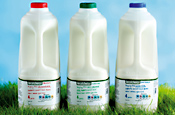 Tesco: launches localchoice milk range