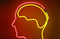 Day 17: Cannes brain teasers