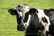 Dairy farms: Asda agrees a fairer deal