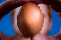 I made this: Chris Godfrey and Eugene the Instagram egg