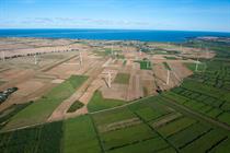 Polish utility PGE bids for Polenergia