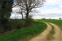 Ashridge Common (Credit: Alan Kent c/o Creative Commons Licence via geograph.org)