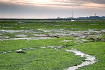 What a new housebuilding pollution mitigation scheme means for authorities and applicants