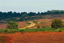 How EU court's ruling on habitats could affect neighbourhood plans