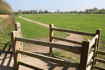 How a European court ruling that stiffens wildlife safeguards could delay plan-making
