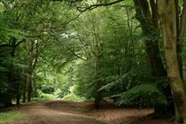 Why Epping Forest Council's block on 100-plus housing applications due to air quality concerns is set to last for a while