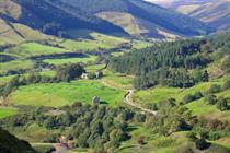 The authorities at risk of losing planning powers because of poor appeal records