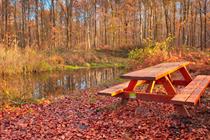 Need to know: Environmental planning commitments versus reality