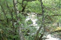 Policy Summary: Guidance on managing environmental noise and maintaining quiet areas