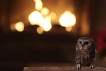 Hootsuite's holiday owl video