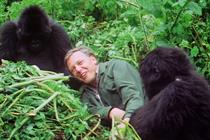 BBC "Attenborough at 90" by BBC Creative