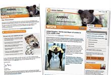 Third Sector Excellence Awards 2012: Direct Marketing Campaign - Winner: WSPA UK: Animal Protector