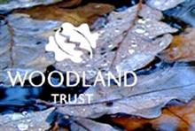 Case Study: How the Woodland Trust improved the eco-friendly nature of its IT