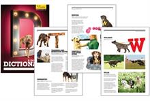 Third Sector Excellence Awards 2013: Annual Report - Winner: Dogs Trust Dictionary