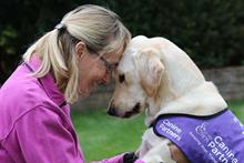 What is it like to work at Canine Partners?