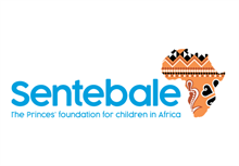 Charity founded by Prince Harry denies any impropriety over Mahfouz Foundation donations