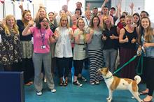 Third Sector Awards 2015: Fundraising Team - Winner: Battersea Dogs & Cats Home