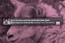 Advertising Standards Authority bans 'misleading' Peta advert